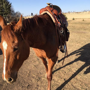 Meet your Posher, Kourtnee